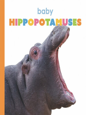 cover image of Baby Hippopotamuses